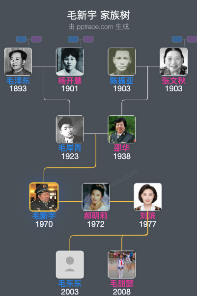 毛新宇 家族树全览
