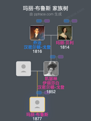 玛丽·布鲁斯家族树全览