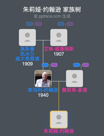 朱莉娅·约翰逊家族树全览