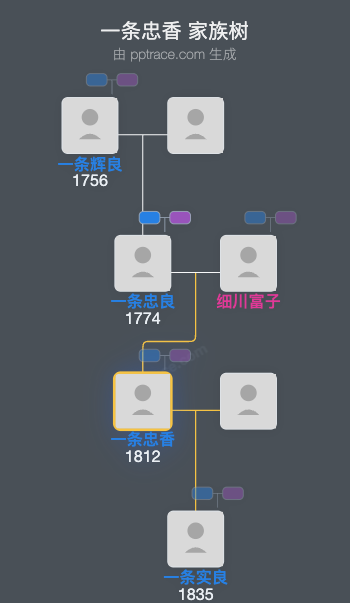 一条忠香家族树全览
