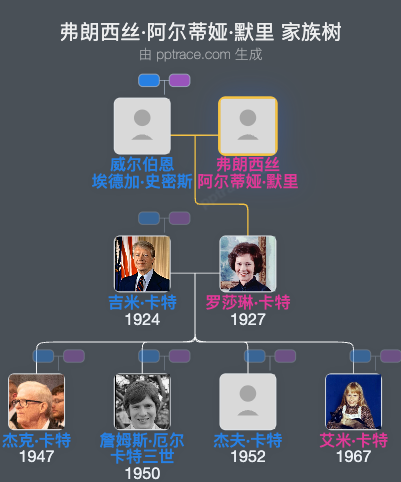 弗朗西丝·阿尔蒂娅·默里家族树全览