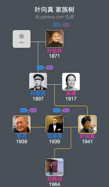 叶向真 家族树全览