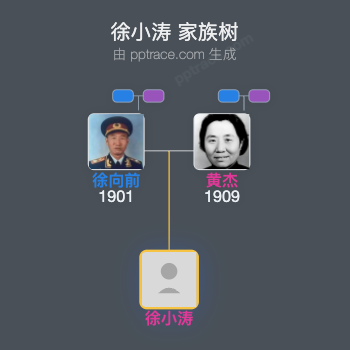 徐小涛 家族树全览