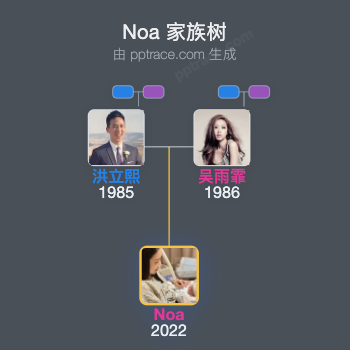 Noa 家族树全览