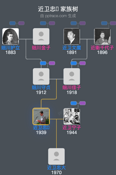 近卫忠𪸩家族树全览