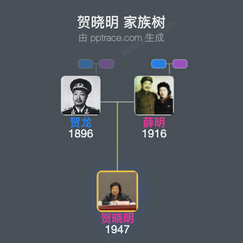 贺晓明 家族树全览