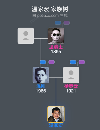 温家宏 家族树全览