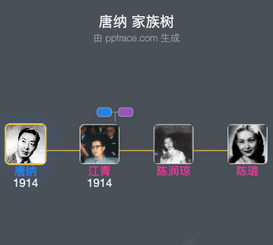 唐纳 家族树全览