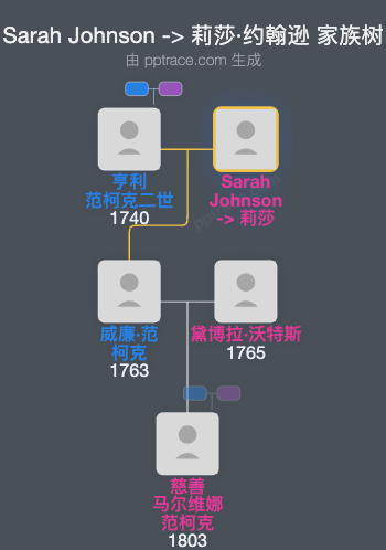 Sarah Johnson  ->  莉莎·约翰逊家族树全览