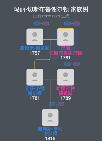 玛丽·切斯布鲁谢尔顿家族树全览