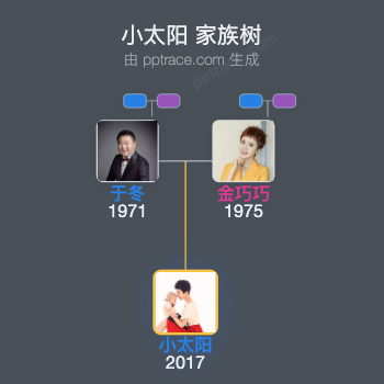 小太阳 家族树全览