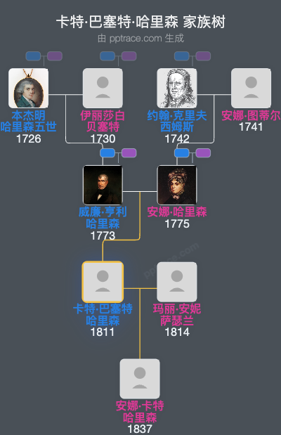 卡特·巴塞特·哈里森家族树全览