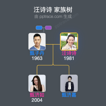 汪诗诗 家族树全览