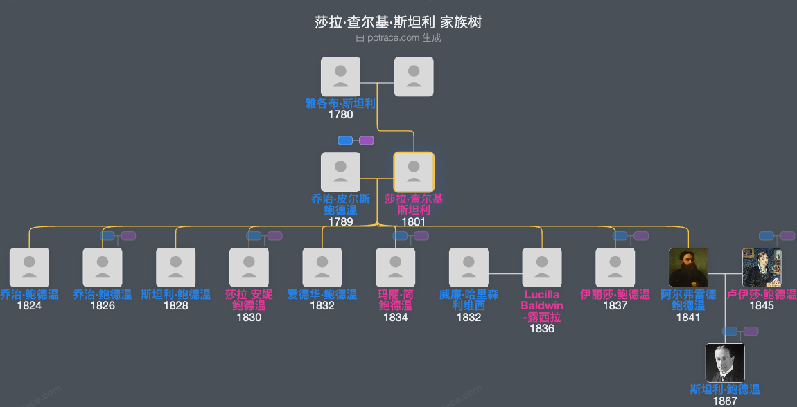 莎拉·查尔基·斯坦利家族树全览