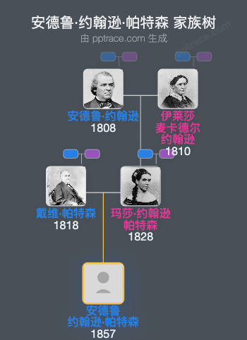 安德鲁·约翰逊·帕特森家族树全览