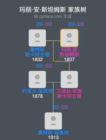 玛丽·安·斯坦姆斯家族树全览
