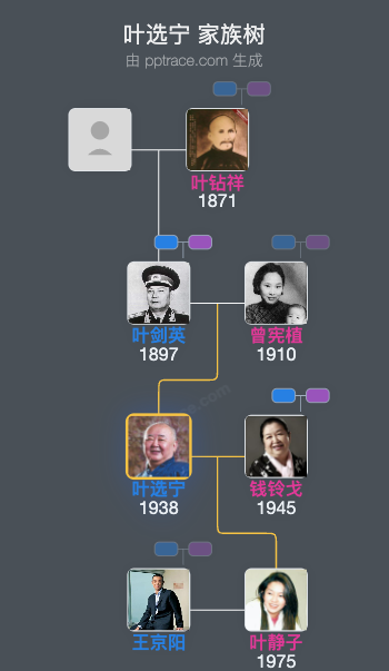 叶选宁 家族树全览