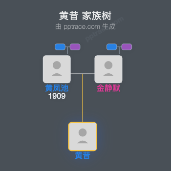 黄昔 家族树全览