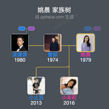 姚晨 家族树全览