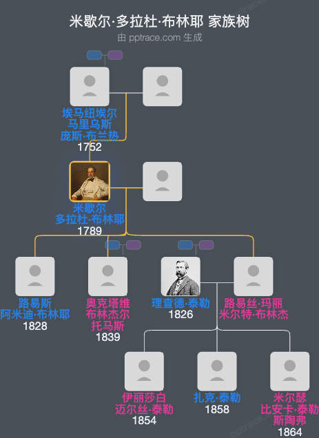 米歇尔·多拉杜·布林耶家族树全览