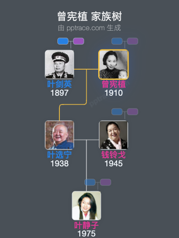 曾宪植 家族树全览