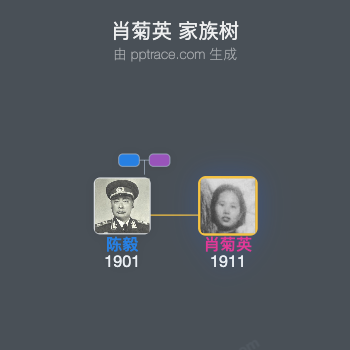 肖菊英 家族树全览