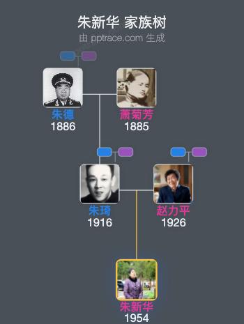 朱新华 家族树全览