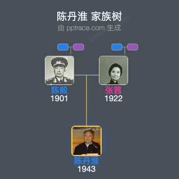 陈丹淮 家族树全览