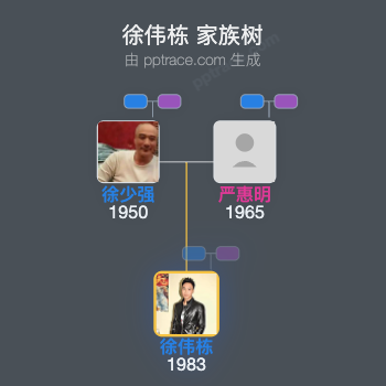 徐伟栋 家族树全览