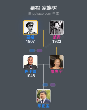 粟裕 家族树全览