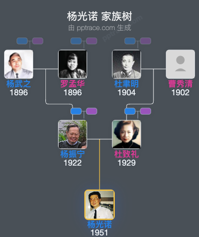 杨光诺家族树全览