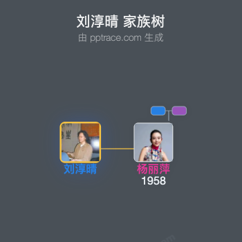 刘淳晴 家族树全览