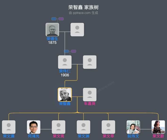 荣智鑫 家族树全览