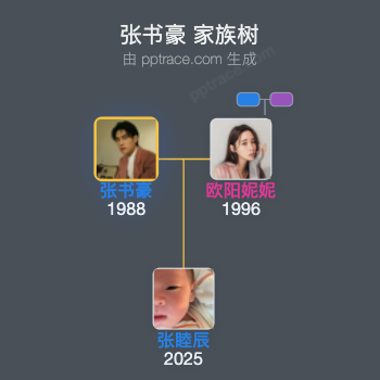 张书豪 家族树全览