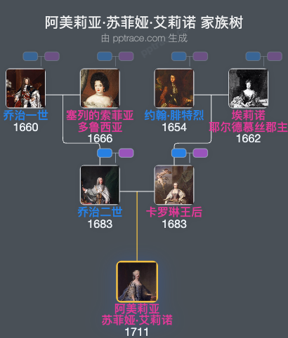 阿美莉亚·苏菲娅·艾莉诺家族树全览