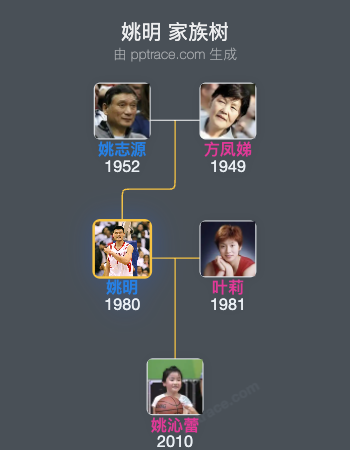 姚明家族树全览