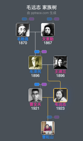 毛远志 家族树全览