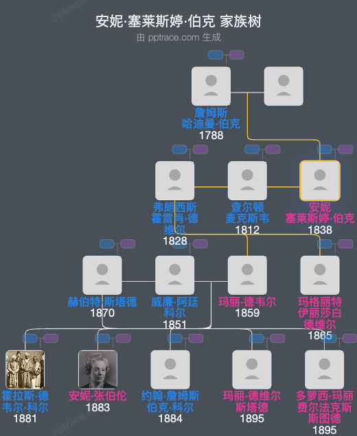 安妮·塞莱斯婷·伯克家族树全览