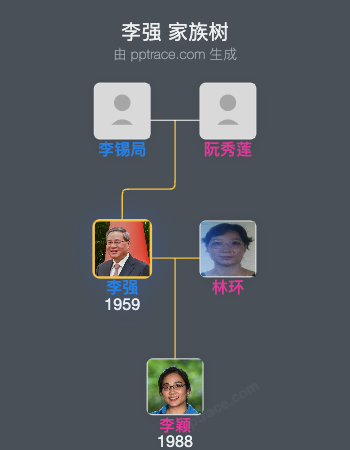 李强 家族树全览