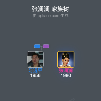 张澜澜 家族树全览