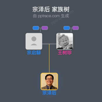 宗泽后 家族树全览