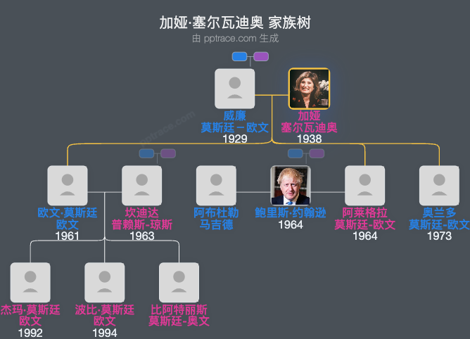 加娅·塞尔瓦迪奥家族树全览
