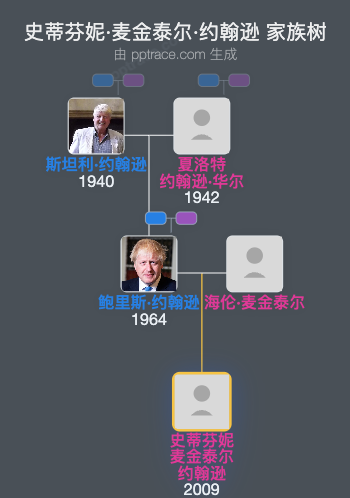 史蒂芬妮·麦金泰尔·约翰逊家族树全览