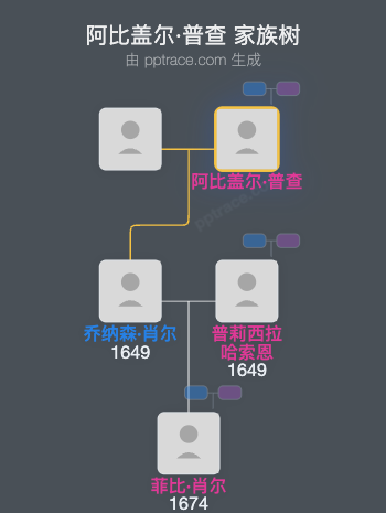 阿比盖尔·普查家族树全览