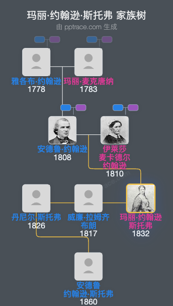 玛丽·约翰逊·斯托弗家族树全览