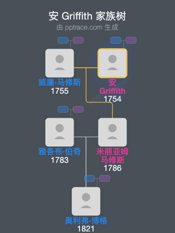 安 Griffith家族树全览