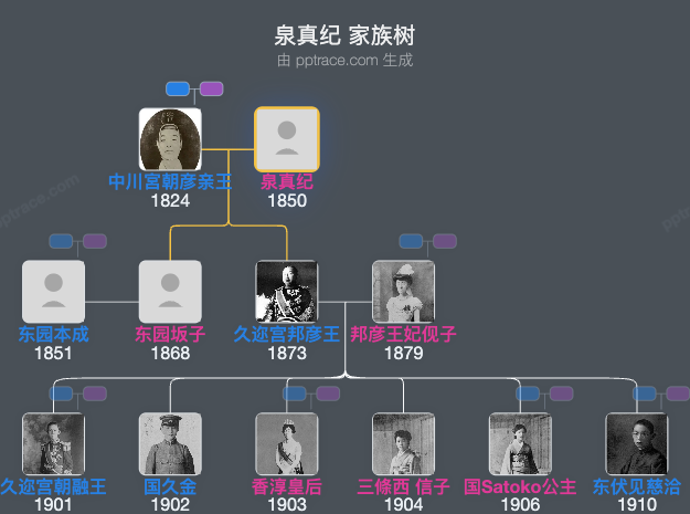 泉真纪家族树全览