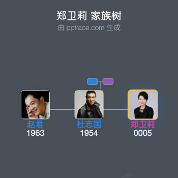 郑卫莉 家族树全览