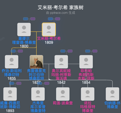 艾米丽·考尔希家族树全览