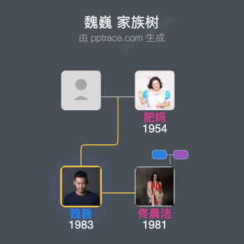 魏巍家族树全览